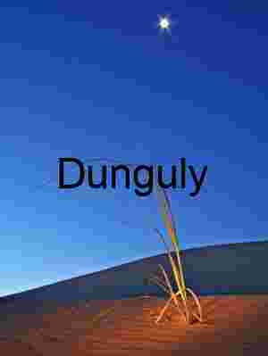 Moonrise Over Silence: Twilight Grasses on Desert Dunes