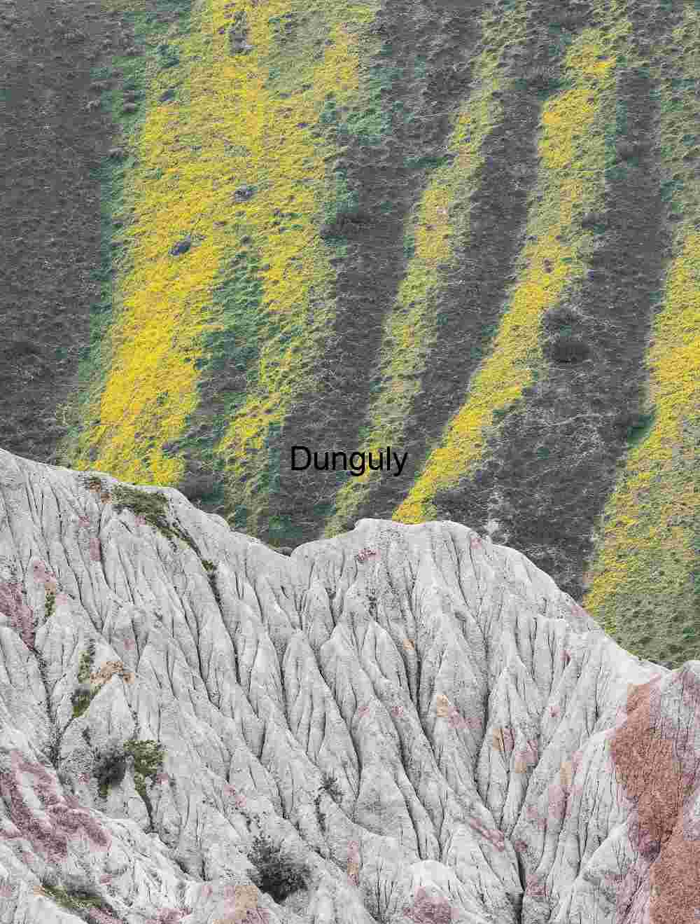 Eroded ridgeline and diagonal stripes of yellow flowers- Carrizo Plain National Monument Eroded Ridge and Yellow Wildflower Stripes, Carrizo Plain