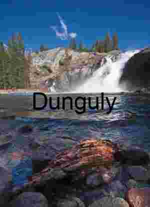Cascade of Clarity: Waterfall in Forested Mountain Stream