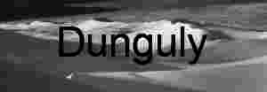 Shadow Script: Dunes in Monochrome Motion