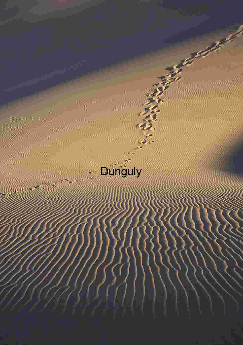 Footprints and ripples; Kelso Dunes, Mojave National Preserve Footprints Across Rippled Desert Sand at Golden Hour