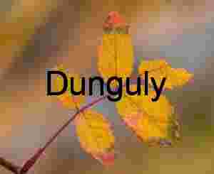 Autumn Compound Leaf Close‑Up – Vibrant Seasonal Foliage in Yellow, Red, and Green