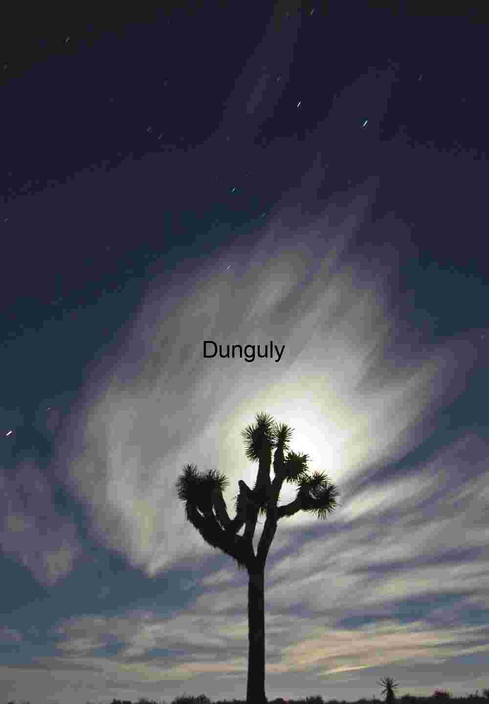 Full moon cloudscape with joshua tree - Joshua Tree National Park Lunar Halo: Joshua Tree Silhouette Beneath a Streaked Night Sky
