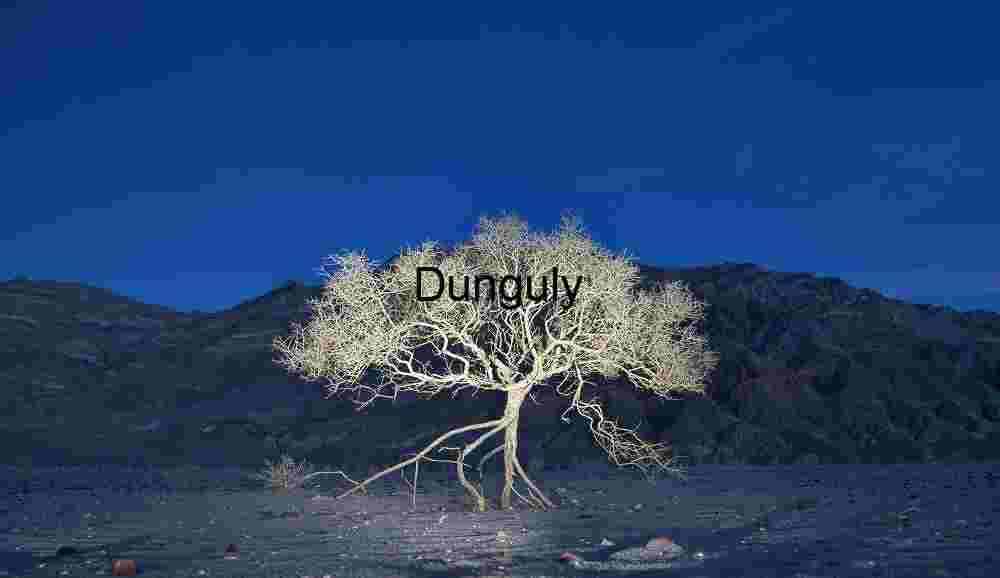 Ghost bush during the blue hour- Eureka Dunes, Death Valley National Park Rooted Silence: A Lone Tree Against Mountain Shadows