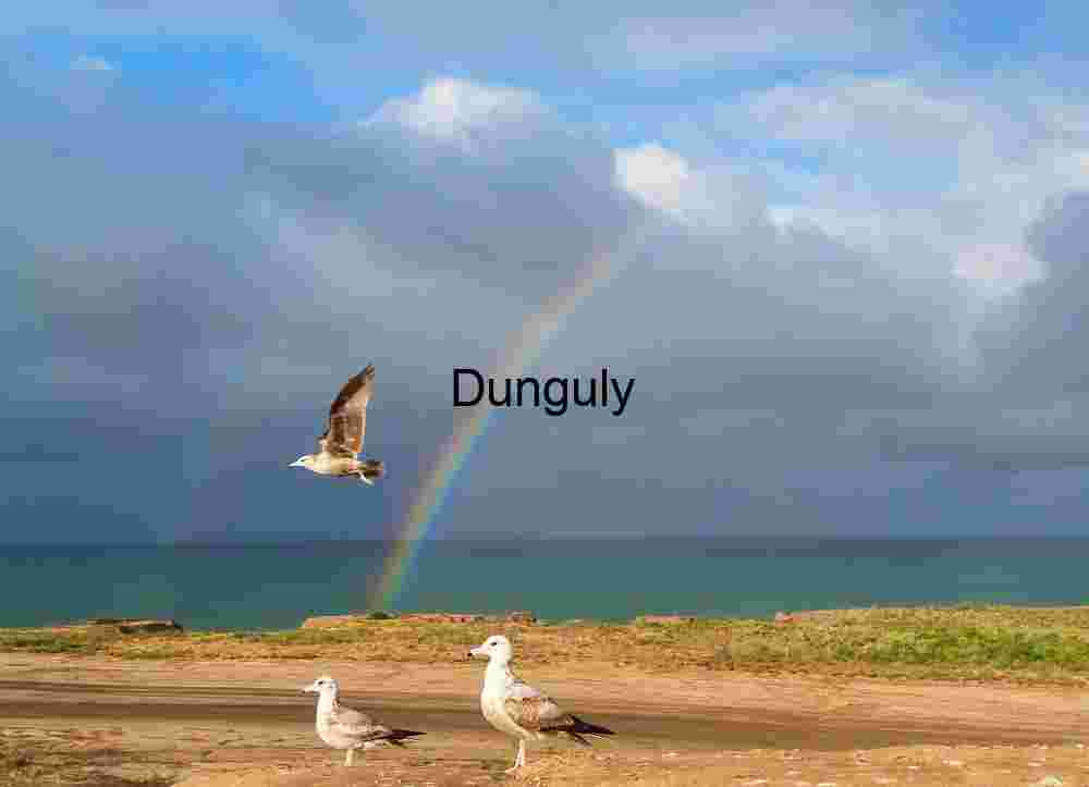 Gull flying between double rainbow- I5 viewpoint near San Onofre Seagulls Beneath a Double Rainbow: Coastal Calm After the Storm
