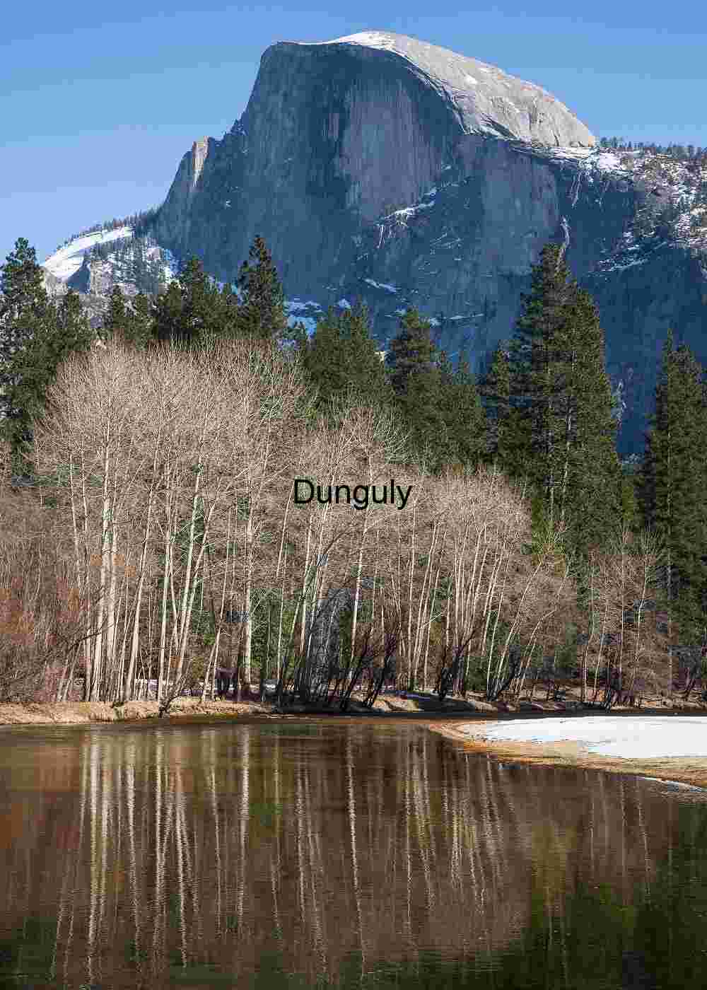 Half Dome, and tree, reflection Half Dome View: Bare Aspen Reflection on Yosemite River