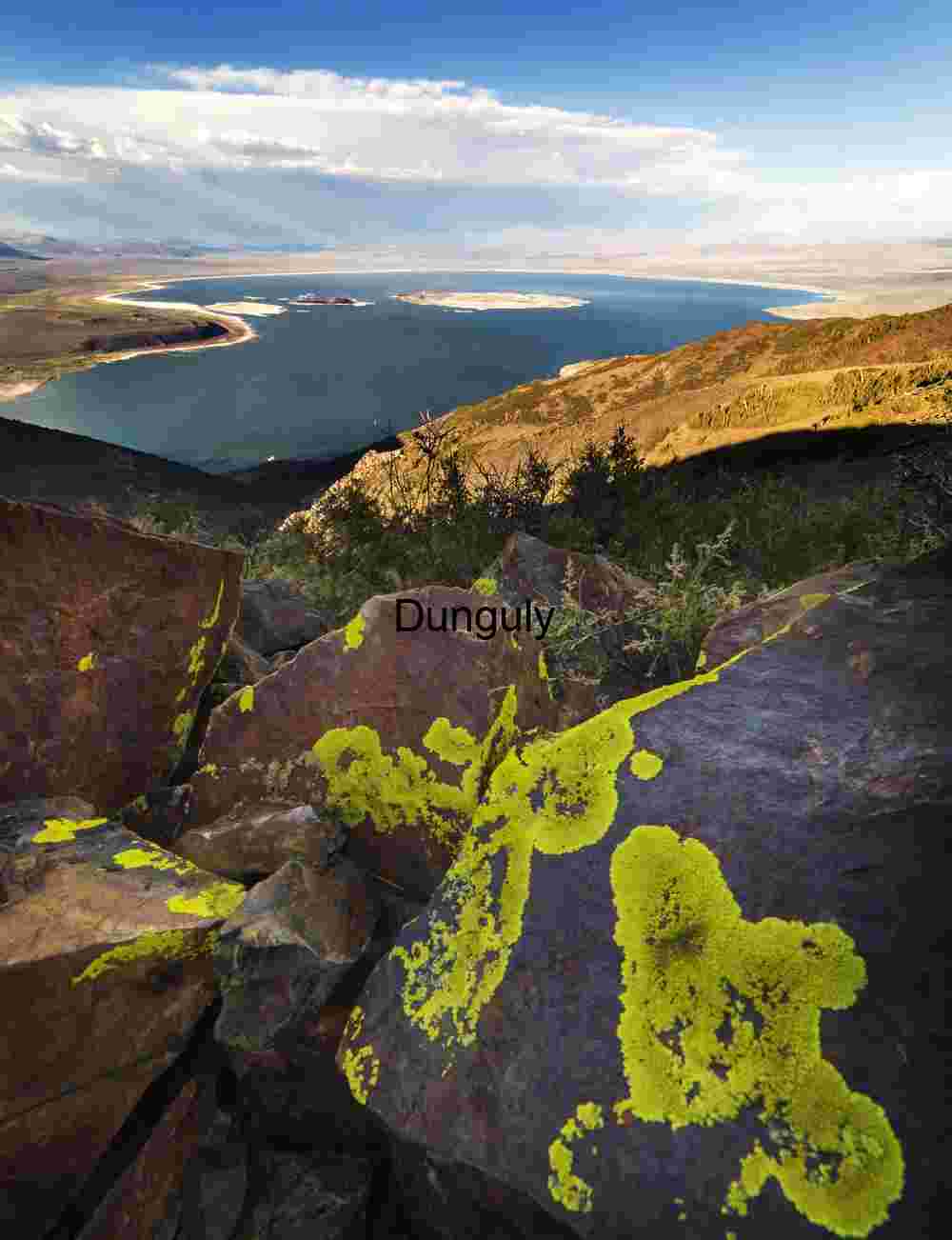 Lichen on rocks high above Mono Lake Lichen Heights: Overlook of Lake, Islands, and Mountain Horizon