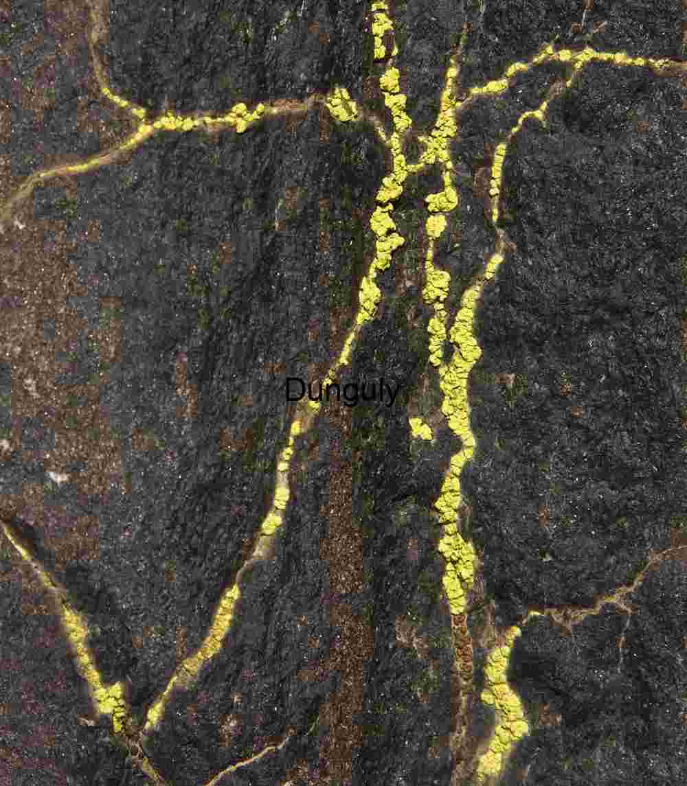 Luminous lichen- Joshua Tree N.P. Veins of Sulfur: Yellow Mineral Deposits in Fractured Rock