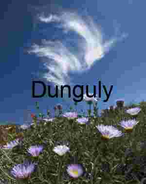 Petals and Sky: Wild Blooms Beneath Feathered Clouds