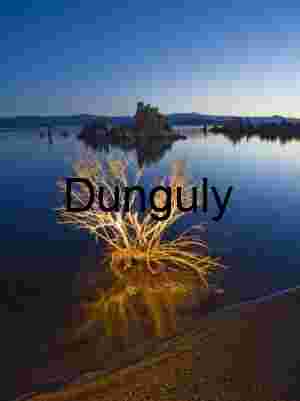 Twilight Contrast: Illuminated Brush and Tufa Reflections at Mono Lake