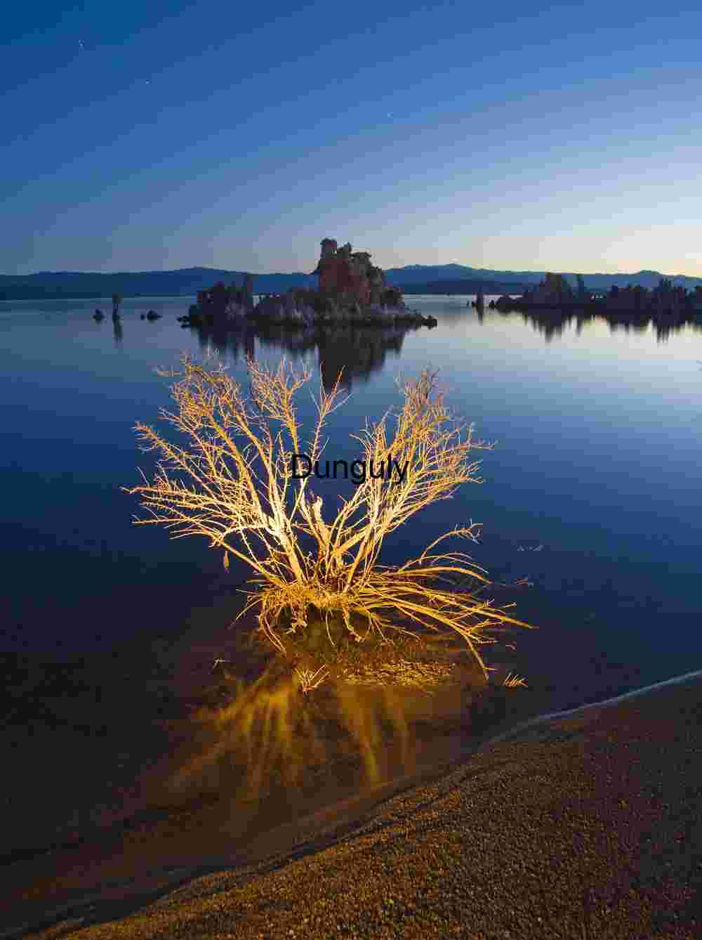 Mono Lake, glowing bush Twilight Contrast: Illuminated Brush and Tufa Reflections at Mono Lake