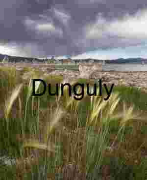 Storm Over Mono Lake: Tufa Towers and Windswept Grasses