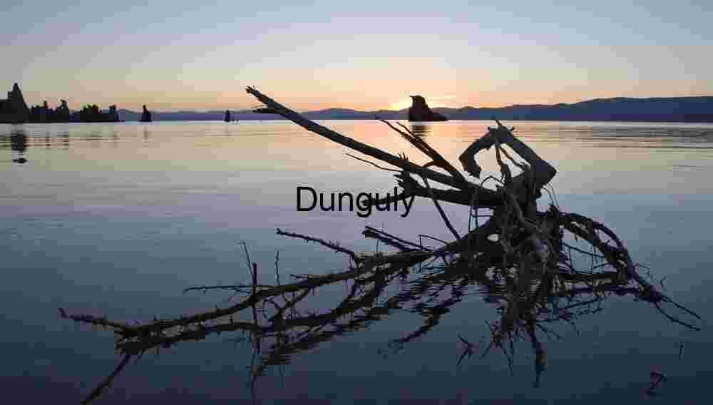 Mono Lake, sunset bush reflection Driftwood and Tufa Towers at Mono Lake Sunset