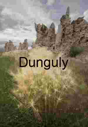 Feathers and Stone: Mono Lake’s Textural Dialogue