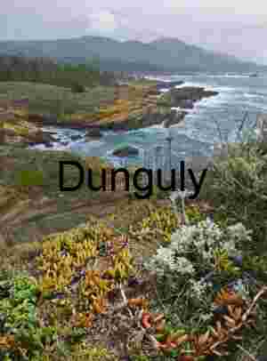 Rugged Rocky Cliffs Showcasing Coastal Erosion and Geological Texture
