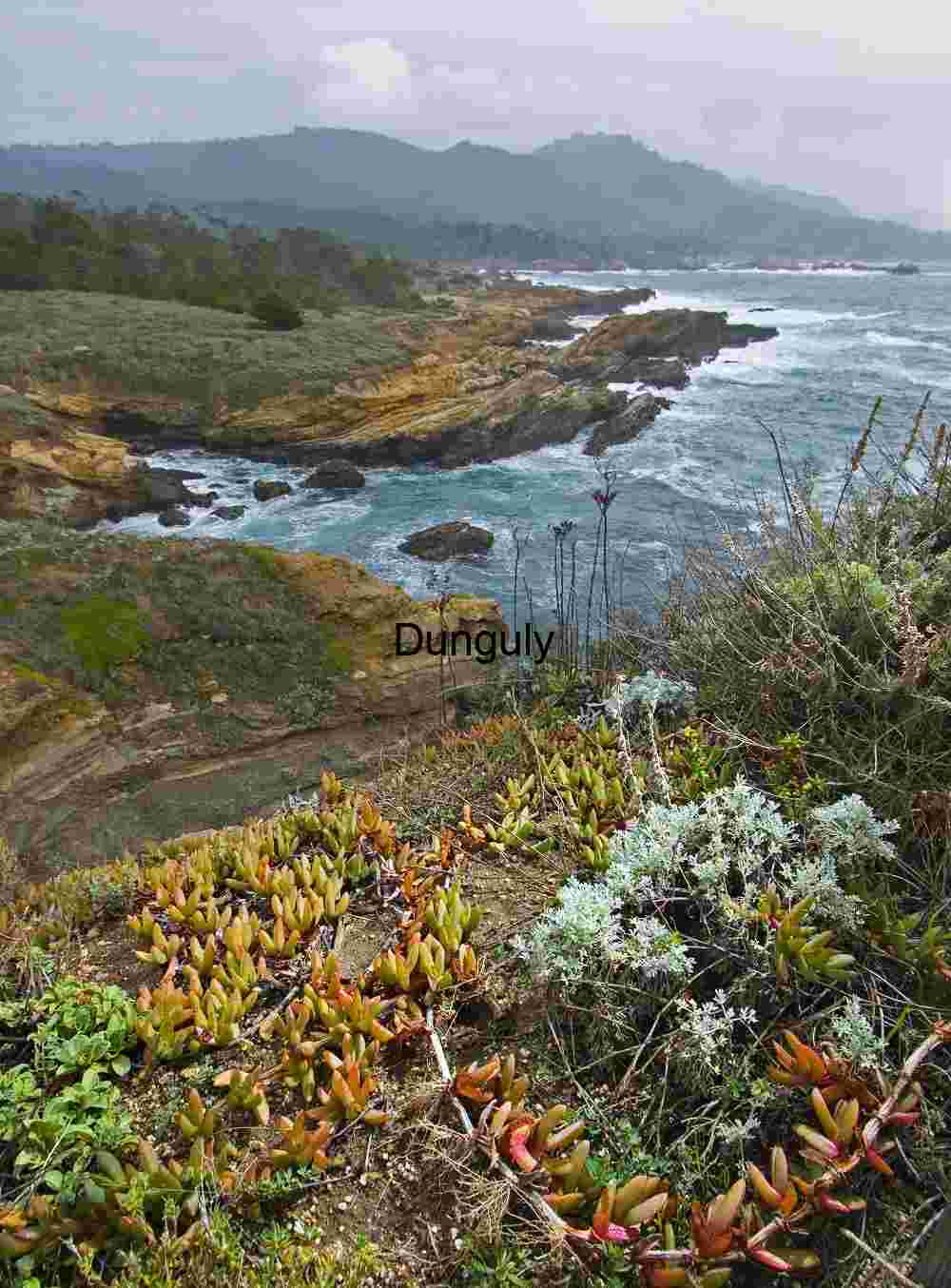 Point Lobos coastline Rugged Rocky Cliffs Showcasing Coastal Erosion and Geological Texture