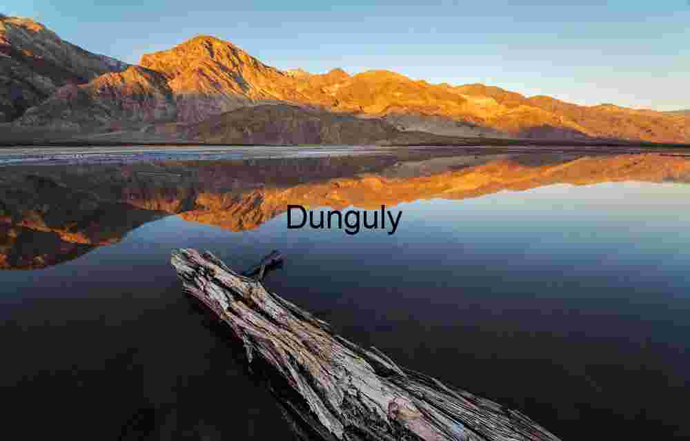 Salt-encrusted log and sunrise mountain reflections, Saline Valley Symbol of Isolation and Resilience in Harsh Desert Terrain
