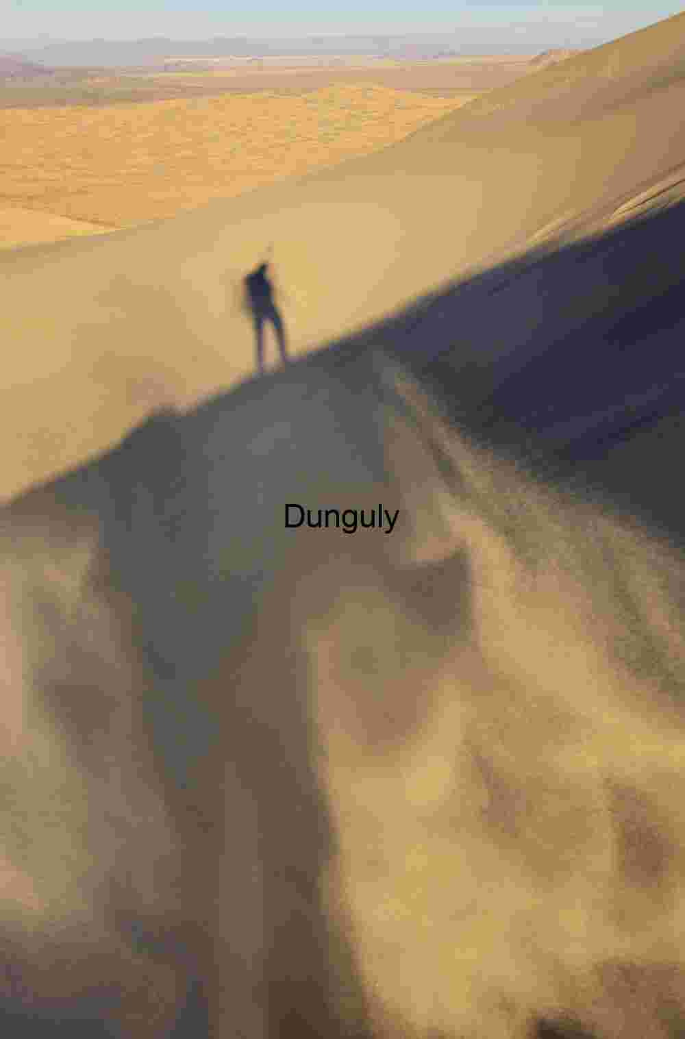 Sand dervish, Kelso Dunes, Mojave National Preserve Shadow on Shifting Desert Dune at Golden Hour