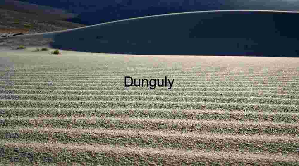 Sand ripples Ripple and Rise: Dune Textures in Desert Transition