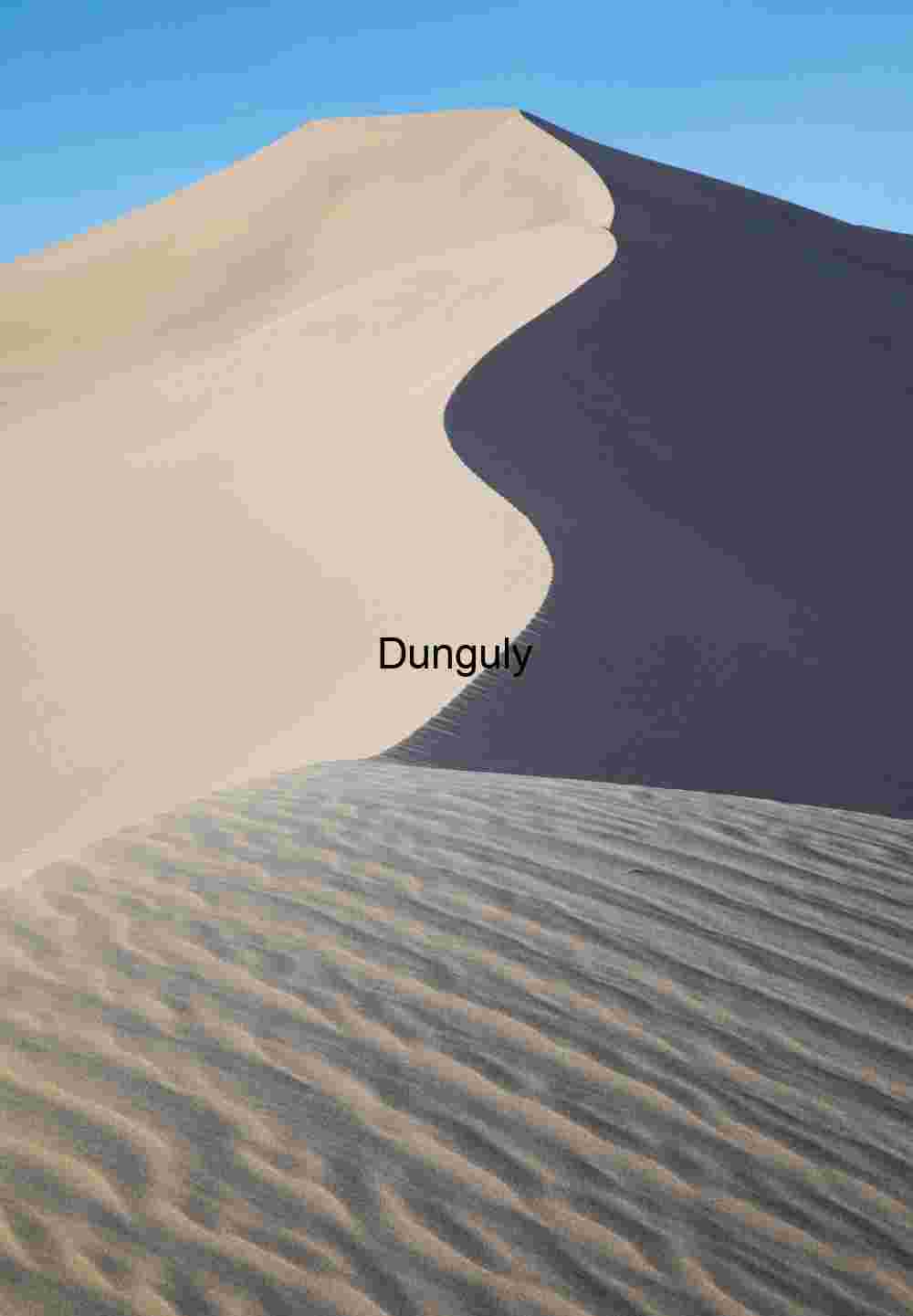 Sinusoidal dune and ripples- Eureka Dunes, Death Valley National Park Dividing Light: The Curve of Contrast in the Dune