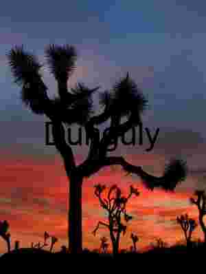 Twilight Silhouettes – Joshua Trees Beneath a Painted Desert Sky