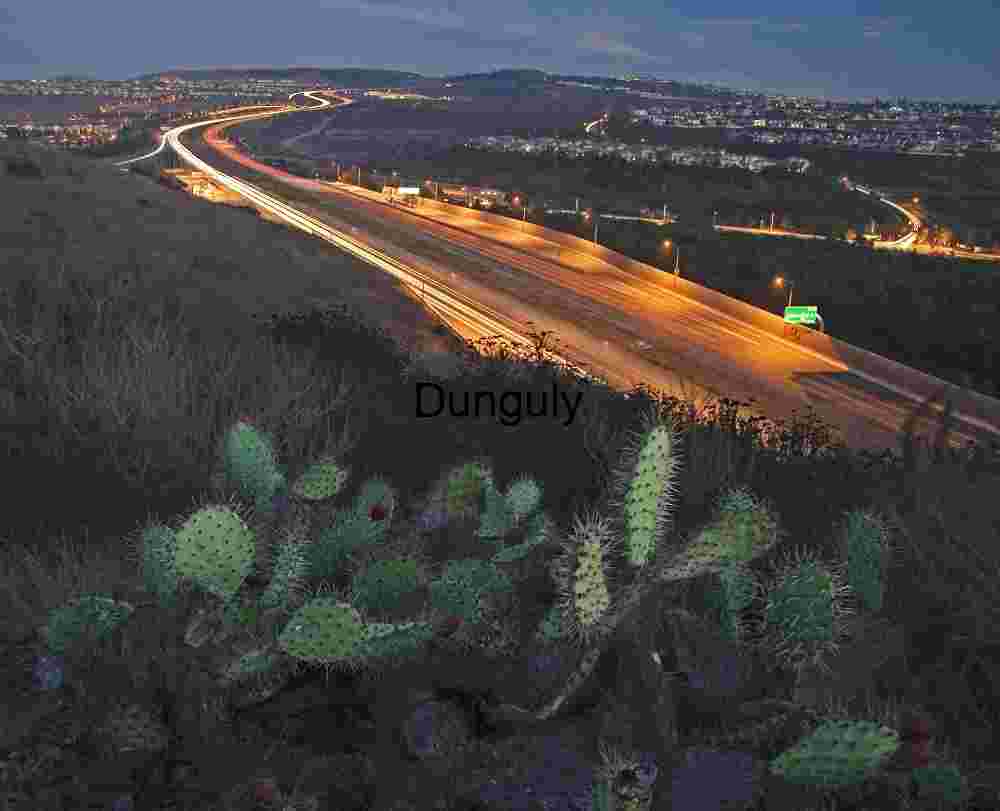 Toll road from UCI ecological preserve Night Highway with Cactus in Foreground and Light Trails