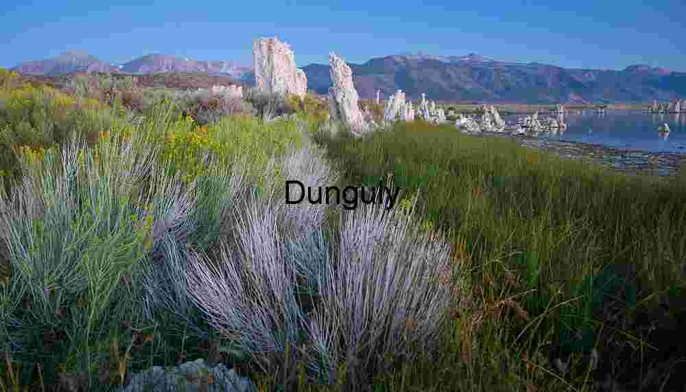 Tufa and grasses before dawn, Mono Lake, California Tufa Towers and Green Shoreline Vegetation at Mono Lake