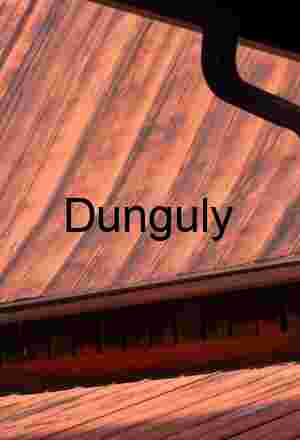 Weathered Copper Barn Roof Texture, Gutter Detail