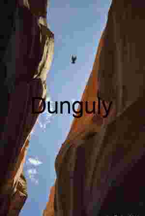 Bird in a canyon