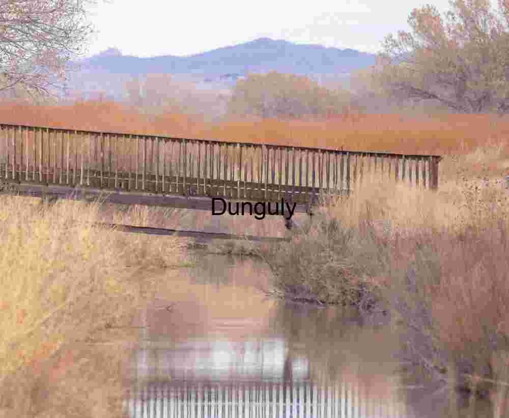 Bridge to viewing deck; Bosque del Apache Wooden Bridge over Wetland Stream - Bosque del Apache