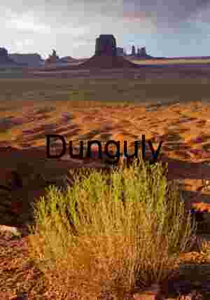 Bush and butte