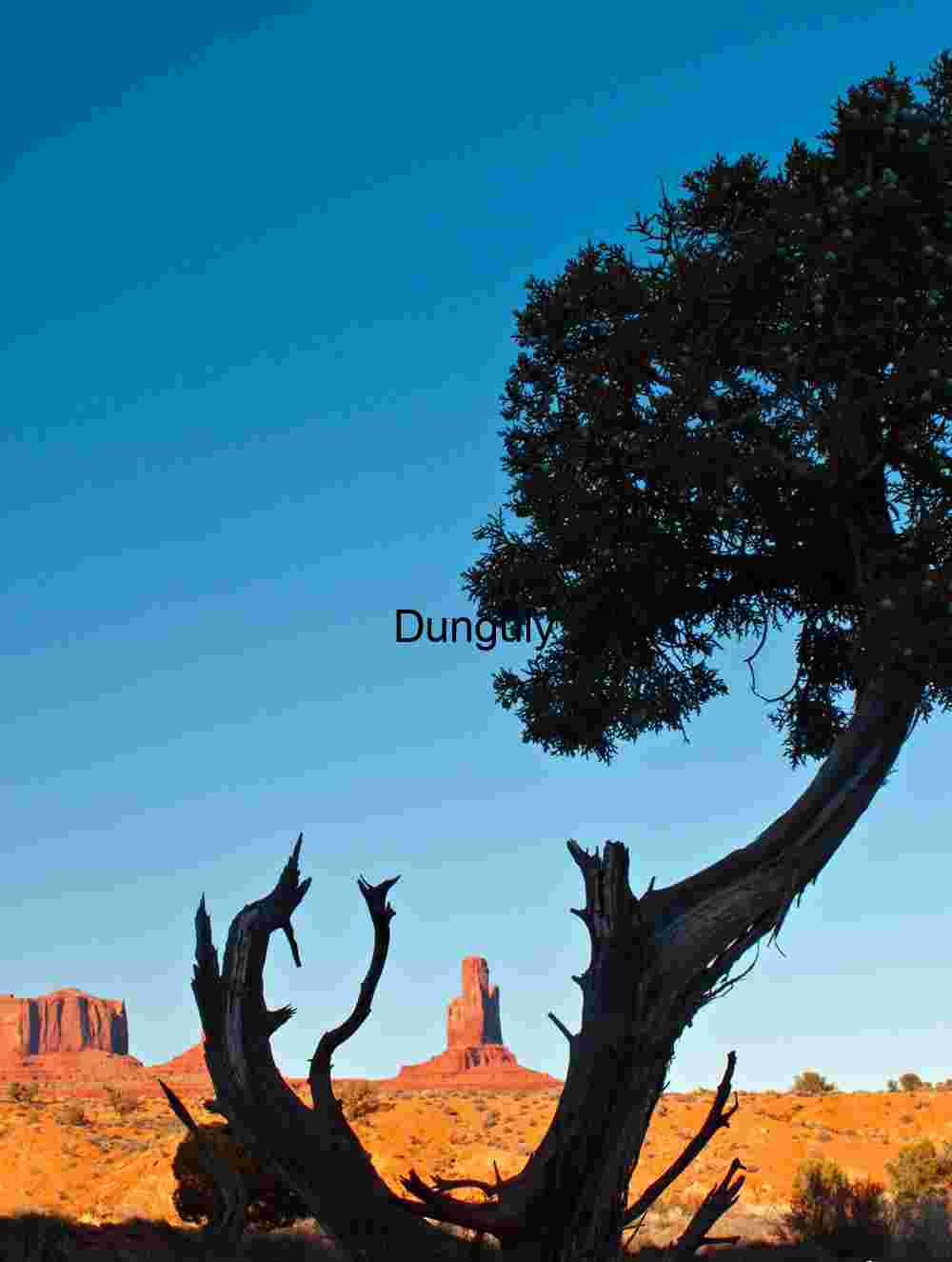 Butte cupped in tree Butte cupped in tree