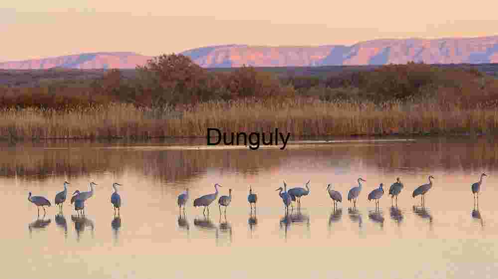 Cranes with, magenta hill, reflections, Bosque del, Apache NWR Cranes with, magenta hill, reflections | Cloud Patterns over Bosque del Apache
