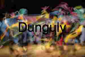 Abstract Motion Dance: Danish Gymnasts with Flags