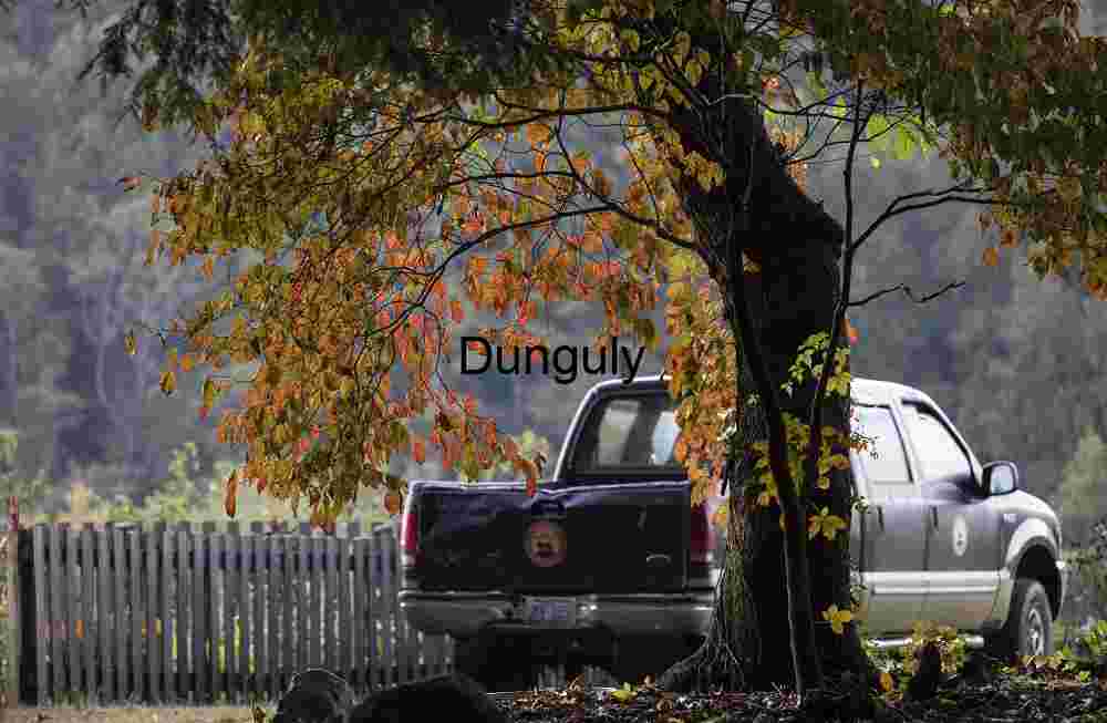 Early fall color in the Garden; John C. Campbell Folk School Early Fall Color, Pickup Truck, Rustic American Garden