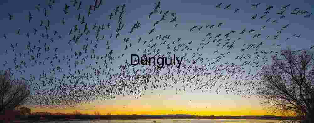 Early morning geese blastoff; Bosque del Apache Bosque del Apache Geese Blastoff at Sunrise Panorama