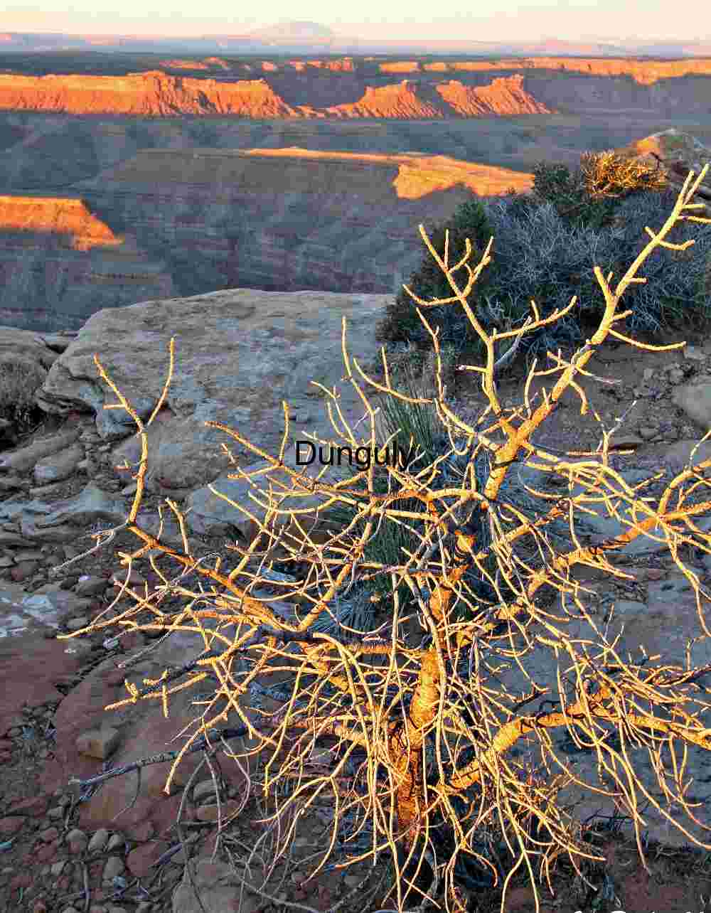 First light above Moki Dugway First Light Above Moki Dugway: Golden Sunrise on Utah Canyon