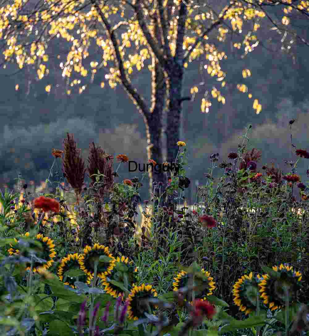 Garden view; John C. Campbell Folk Garden view; John C. Campbell Folk