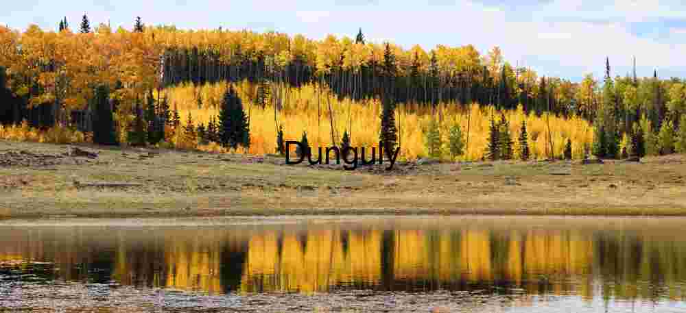 Glowing aspens, Long Lake, Boulder Mountain Close- Glowing aspens, Long Lake, Boulder Mountain