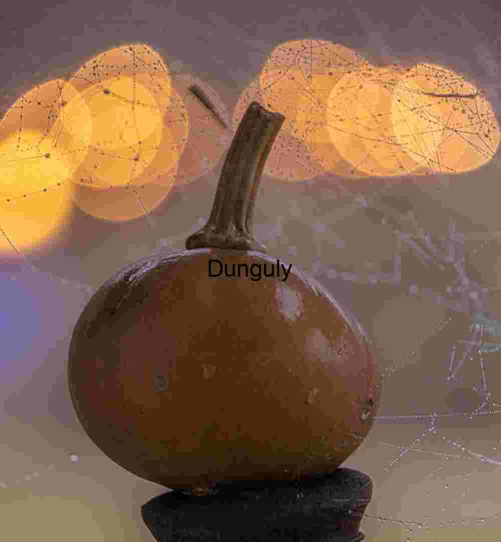 Gourd with bokeh balls; John C. Campbell Folk School Foggy Gazebo Still Life: Pots, Gourds & Autumn Crafts