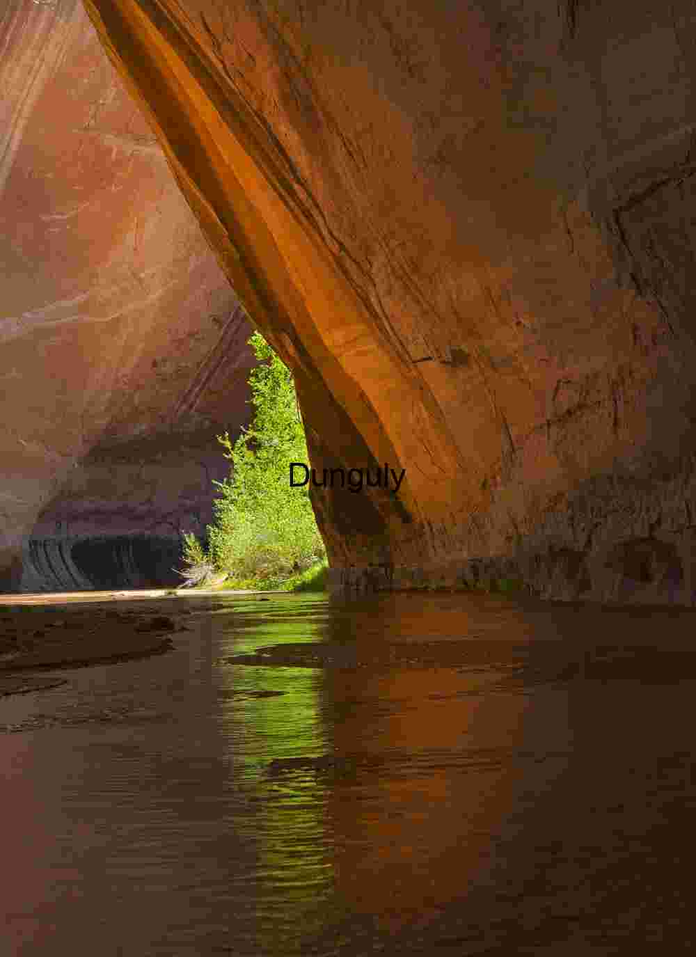 Green and gold reflections, Coyote Gulch, Escalante, Grand Staircase N.M., Utah Green and gold reflections, Coyote Gulch, Escalante, Grand Staircase N.M., Utah