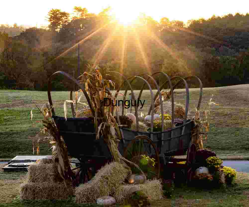 Hay waggon sunstar; John C. Campbell Folk School Autumn Sunstar Wagon at Folk School - Fall Harvest