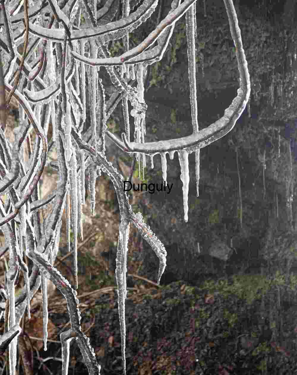 Icicles; GAP trail Icicles; GAP trail