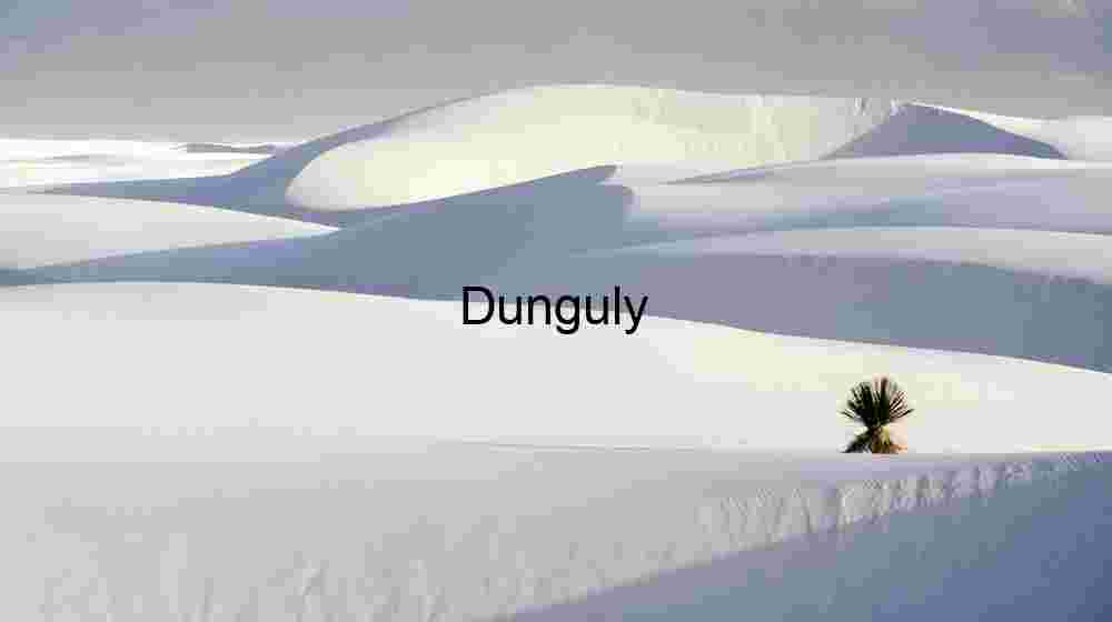 Lonely Yucca-2 Lonely Yucca in White Sands Dunes, New Mexico Desert Landscape