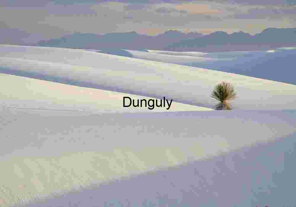 Lonely Yucca Lonely Yucca