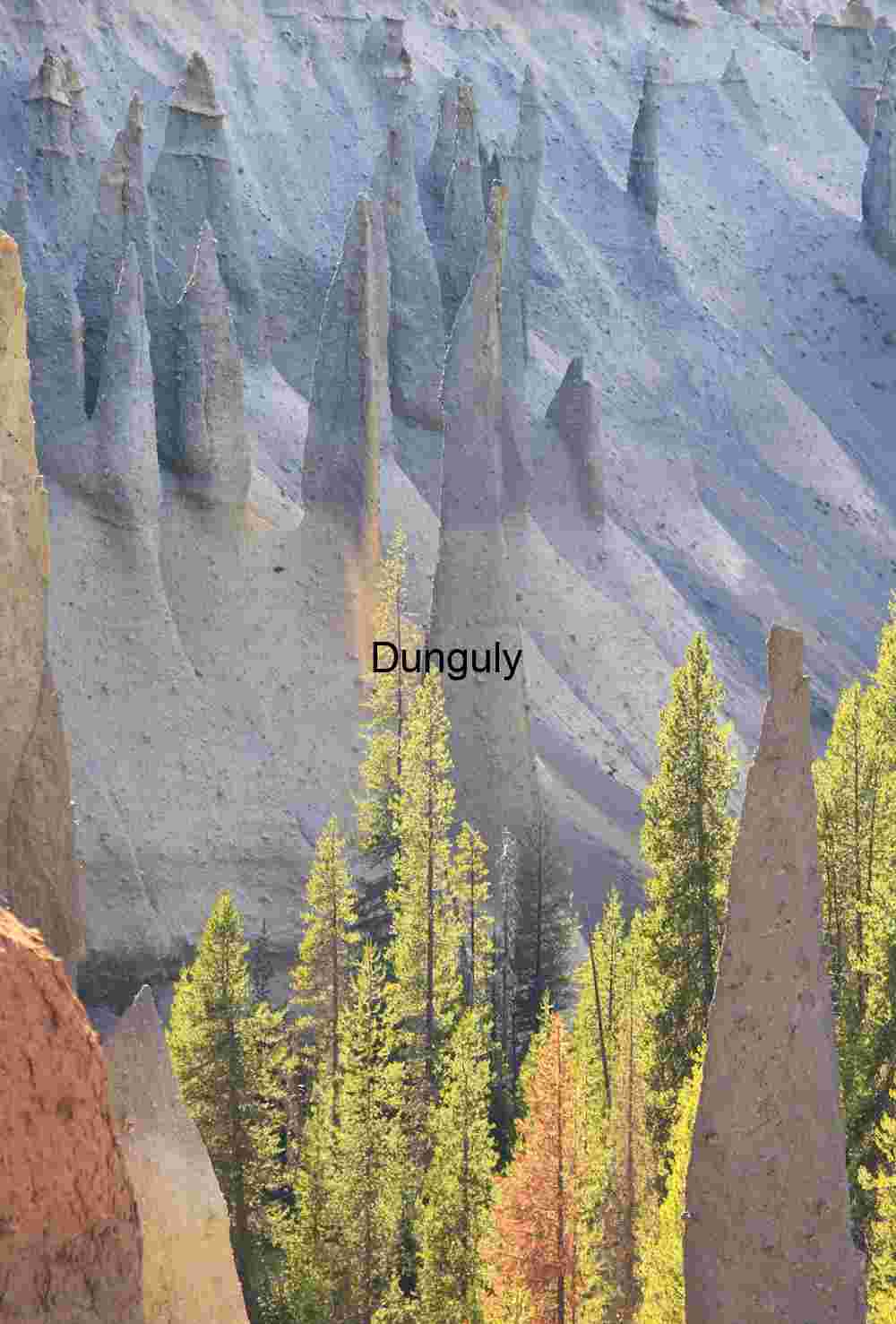 Pinnacles among pines, Crater Lake National Park Pinnacles among pines, Crater Lake National Park