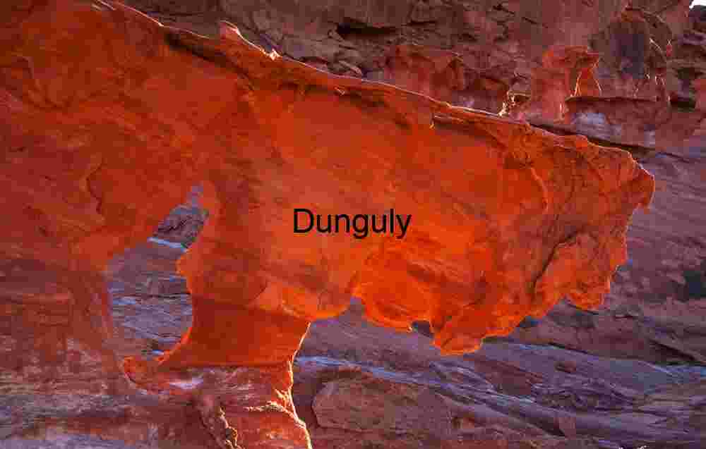 Stalking lion Stalking lion | Sandstone Hoodoo Arch