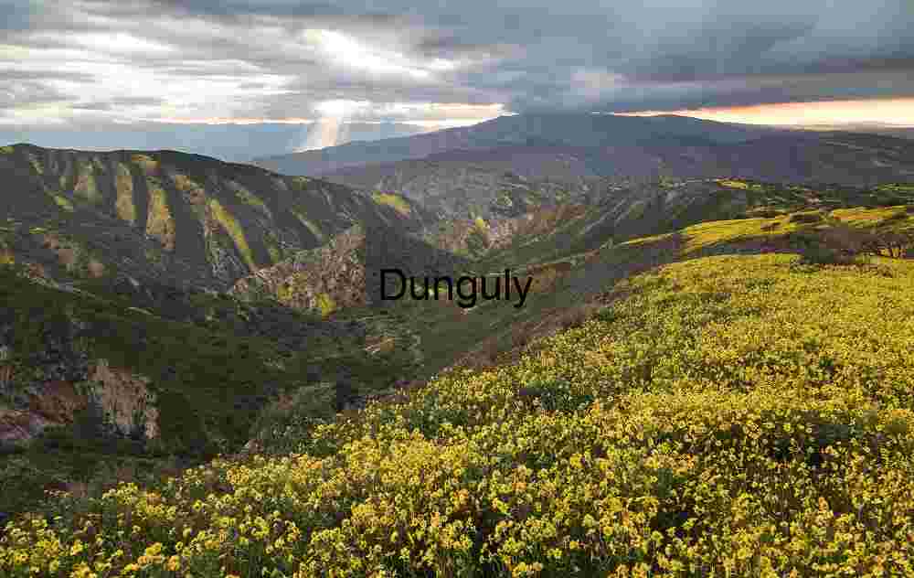 Storm clouds over flower-covered Caliente mountains- Carrzio Plain Yucca Succulent Spikes Abstract Close-up Carrizo Plain
