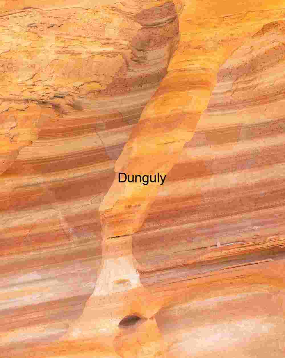 Striped elbow, Striped elbow | Nature's Pocketed Art