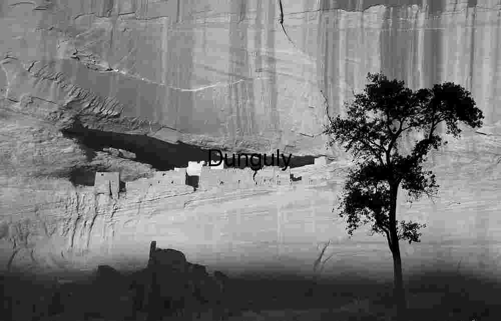 White House Ruin, cottonwood sillhouette, Canyon de Chelly White House Ruin, cottonwood sillhouette, Canyon de Chelly
